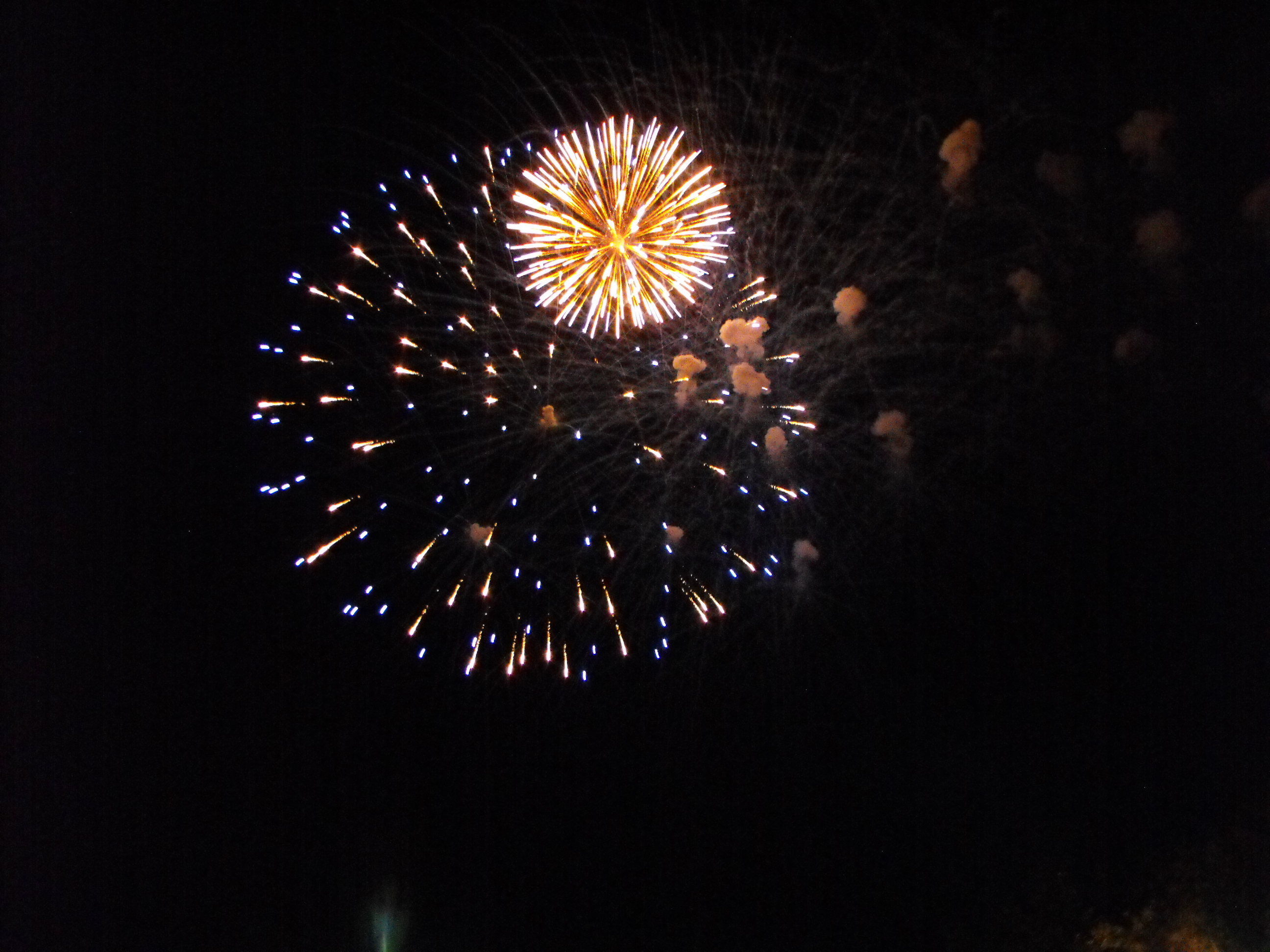 ./2010/Fourth of July/4th July Fireworks Wilm 0087.JPG